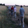 Walkimg across the corn field