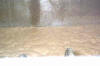 Fermenting Beer 