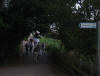 2010 walk